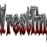 wrestling fight go Game Cover