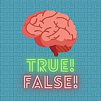 True or false quiz Game Cover