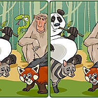 Wildlife Safari Five Diffs Game Cover