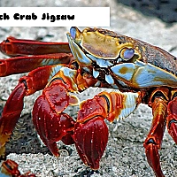 Beach Crab Jigsaw Game Cover