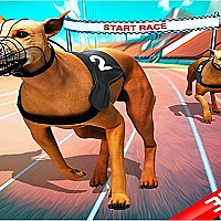 Crazy Dog Race Game Cover