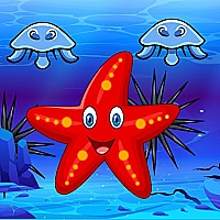 Survival Starfish Game Cover