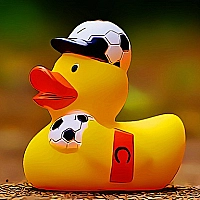 Yellow Ducks Puzzle Game Cover