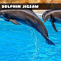 Sea Dolphin Jigsaw Game Cover