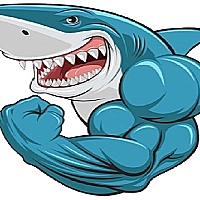 Mads Shark Game Cover