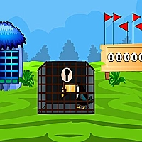 Rescue The Toucan Game Cover