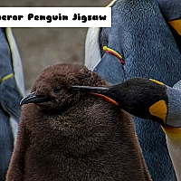 Emperor Penguin Jigsaw Game Cover