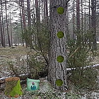 Return To The Frozen Forest Game Cover