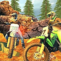 Offroad Motorcycle Bike Racing 2020 Game Cover