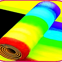 ROLLER PAINT PRO Game Cover