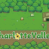 Charlotte Valley Game Cover