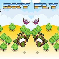 Sky Fly Game Cover