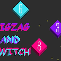 Zig Zag and Switch Game Cover
