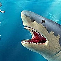 Shark Hunting Game Cover