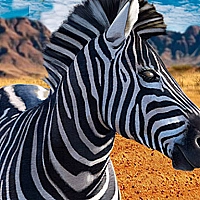 ZEBRA HUNTER SNIPER SHOOTING  Game Cover