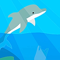 Dolphin Life Game Cover