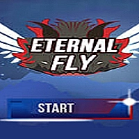 Eternal Fly Game Cover