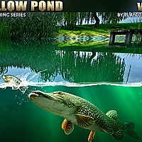 Willow Pond Game Cover