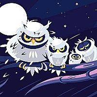 Wild Birds Match 3 Game Cover