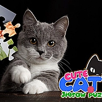 CUTE CATS JIGSAW PUZZLE Game Cover