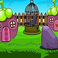 Pigeon Escape Game Cover