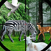 Real Jungle Animals Hunting Game Cover