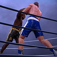 Ultimate Boxing - The Boxing King Game Cover