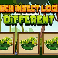 Which Insect Looks Different Game Cover