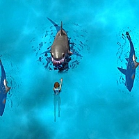 Avoid the Sharks Game Cover