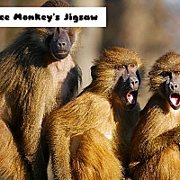 Three Monkey's Jigsaw Game Cover