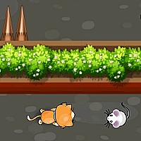 Cat Trap Labyrinth Escape Game Cover