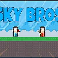 Sky Bros Game Cover