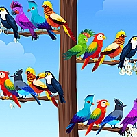 Bird Sort Puzzles Game Cover