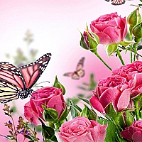 Butterflies Puzzle Game Cover