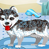 My Cute Dog Bathing Game Cover