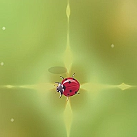 Pest Control Game Cover