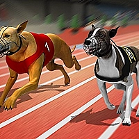 Racing Dog Simulator : Crazy Dog Racings Game Cover