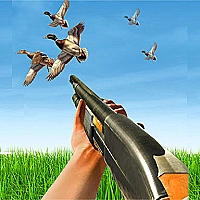 BIRD HUNTING Gun Fire Shooter Game Cover