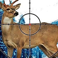 Stag Hunter Game Cover