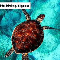 Turtle Diving Jigsaw Game Cover