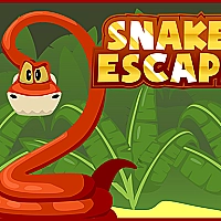 Snake Escape Game Cover