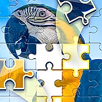 Puzzle Challenge Game Cover
