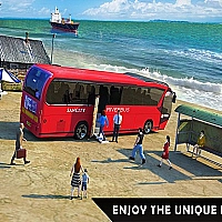 Water Surfer Bus Game Cover