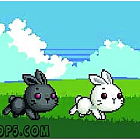 Bu Bunny Two Rabbit Game Cover