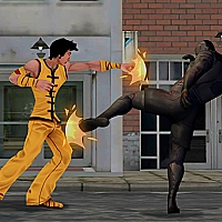 City Fighter vs Street Gang Game Cover