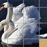 Animals Slide Puzzle Game Cover