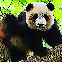 Cute Baby Panda Game Cover