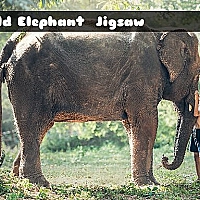 Child Elephant Jigsaw Game Cover