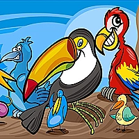 Exotic Birds Coloring cover