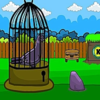 Rescue The Pigeon 2 Game Cover